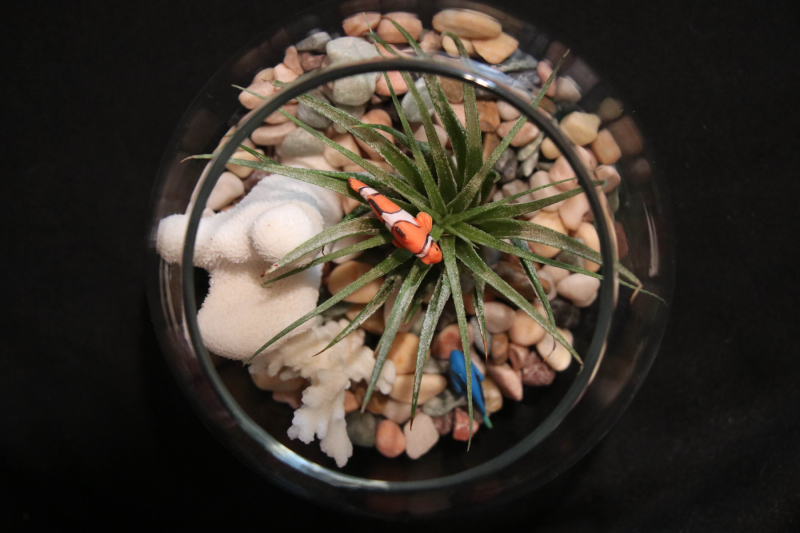 globe-w-fish-21